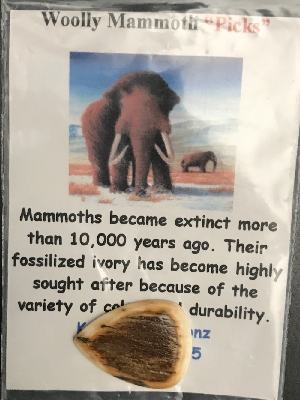 Woolly Mammoth Guitar Pick